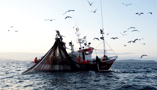 Pesca, 8 milioni alle imprese siciliane