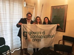 Nuovo presidente di Anga Palermo: "Francesca Paola Gioia"