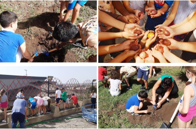 Progetto "Grow Your Future": al Sacro Cuore di Catania, bambini entusiasti col “pollice verde”