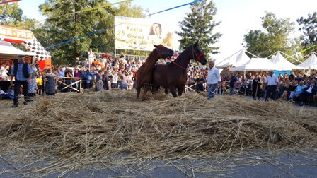 Raddusa: presenze boom alla 25^ Festa del Grano, unica siciliana di qualità