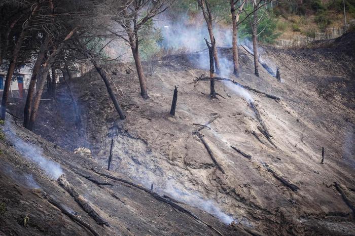 Incendi, arresto nel Nisseno