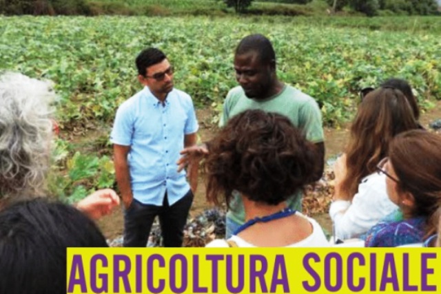 Agricoltura Sociale: 10 mln dalla Regione Siciliana per inclusione socio lavorativa