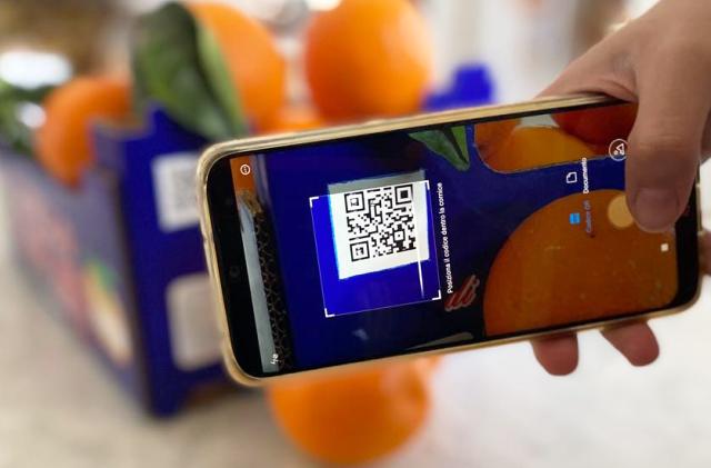 Dieci aziende agrumicole del Distretto Agrumi di Sicilia sperimentano tecnologia Blockchain