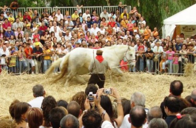 Raddusa. Nei giorni 8 - 9 e 10 settembre si festeggia la 27^ “Festa del Grano”, festa popolare riconosciuta dal Senato della Repubblica come “Sagra di Qualità”