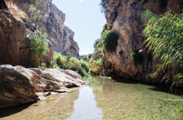 Giornata Mondiale dell’Ambiente: sette escursioni fluviali promosse da BCsicilia