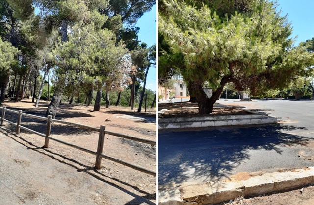 “Restituito il meritato decoro a Santo Pietro”: il “patto” di collaborazione fra Azienda foreste demaniali e Comune di Caltagirone