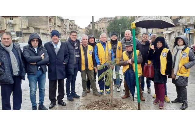 Niscemi. Lions club: piantumati una sessantina di alberi, nelle aiuole prive di piante delle vie Marconi e Calatafimi, grazie anche agli scout