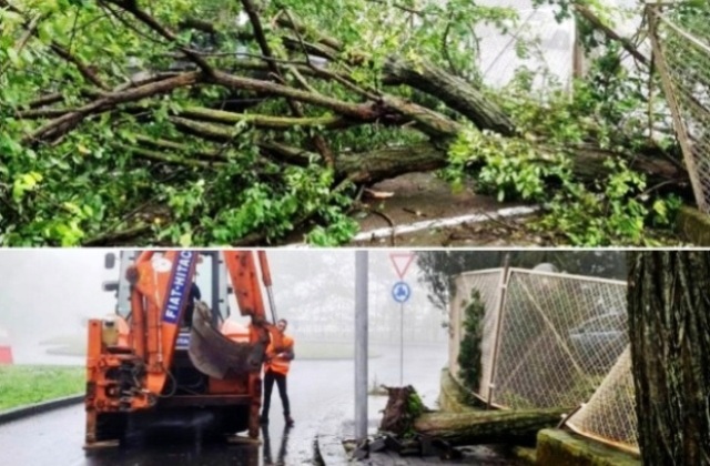 Danni maltempo: rimossi due alberi e “liberato” pullman diretto a Caltagirone, impantanato nel fango