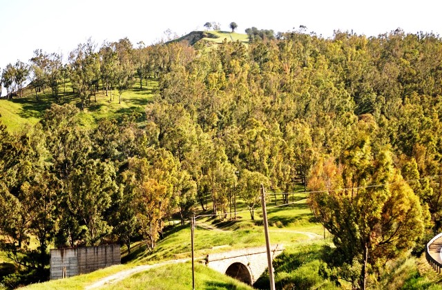 Parco Monte San Giorgio di Caltagirone: entro il 17 maggio, ore 12, le manifestazioni d'interesse