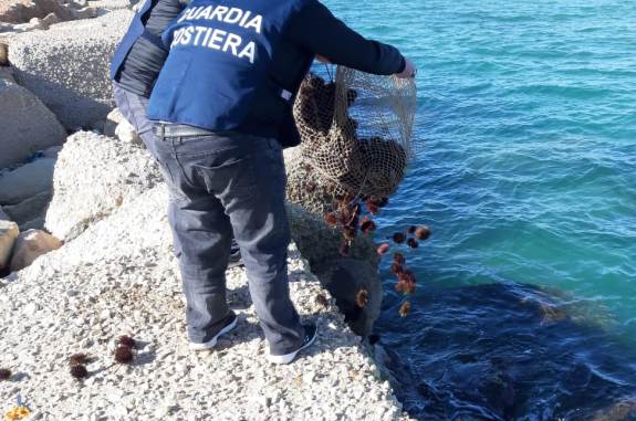 Contrasto a pesca illegale: Guardia costiera di Pozzallo e Scoglitti sequestra oltre 1.200 ricci