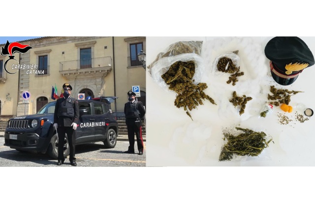 Licodia Eubea. Carabinieri denunciano uomo. Si giustifica col sostenere che era cannabis “light”