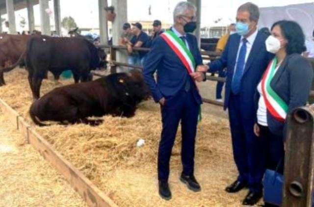 Agroalimentare, Musumeci in Fiera a Ragusa: «Valorizzare le razze autoctone»