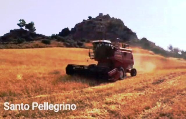 La "Festa del Grano" di Raddusa, Sagra di Qualità 2019, rinviata da sindaco Allegra al 2021