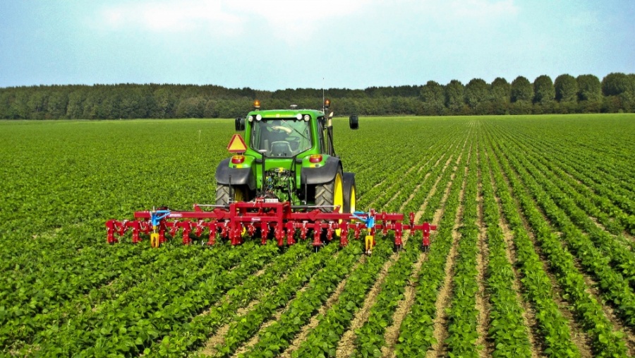 Sicilia ritrova la sua forza nell'agricoltura