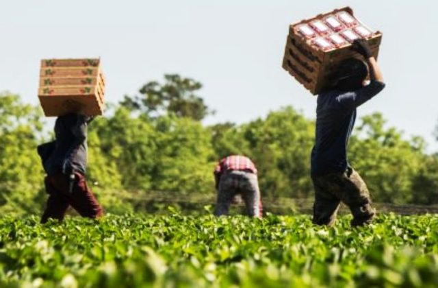 "Insieme contro lo sfruttamento lavorativo" e una "call" per segnalare le "buone pratiche"