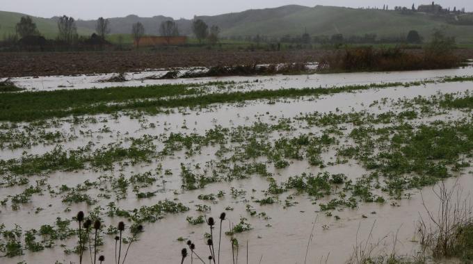 Agricoltura, riconoscimento dello stato di calamità naturale alle aziende siciliane colpite dal maltempo
