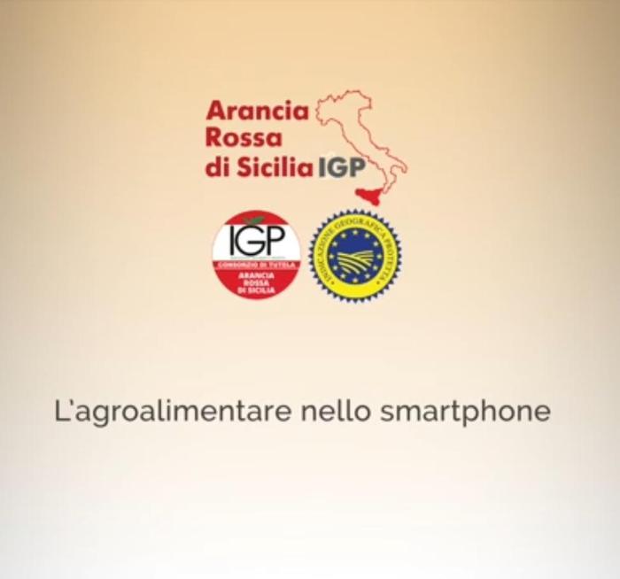 App riconosce le vere Arance rosse di Sicilia Igp