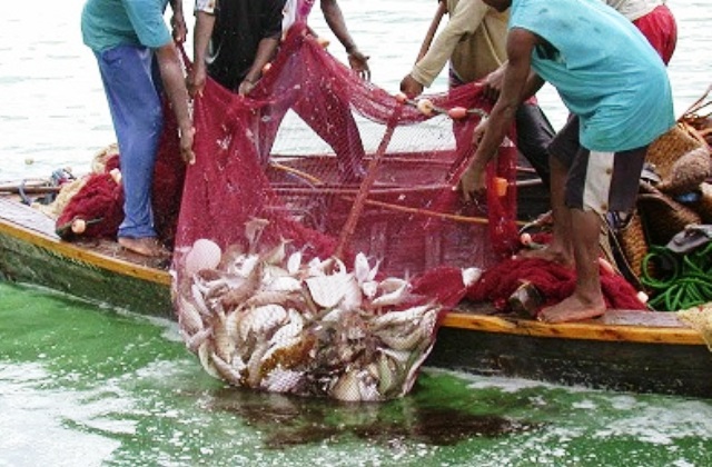 Dal SAI "Mirabella MSNA" di Mirabella Imbaccari la diciottenne Racheal del Ghana scrive sui piatti tipici e sulla pesca degli uomini ghanesi