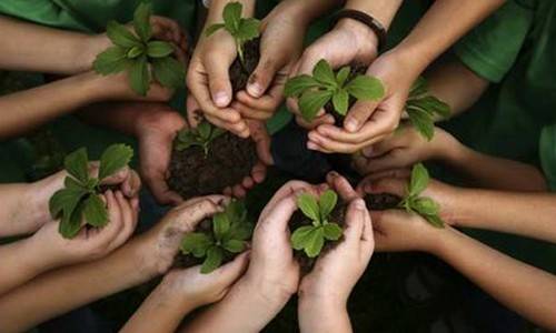 Il progetto "Orto sociale" - Le "projet jardin sociale"