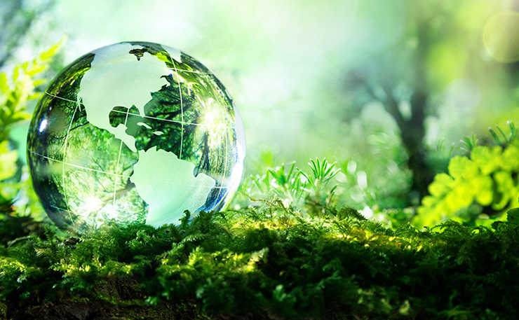 Sicilia, 3 progetti approvati per la biodiversità