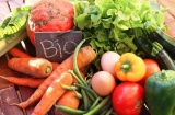 4 milioni 200mila euro per la ricerca in agricoltura biologica: in Gazzetta Ufficiale l'avviso pubblico. Bellanova: "Settore strategico per il futuro dell'agricoltura. Risorse importanti per rafforzare l'intera filiera"