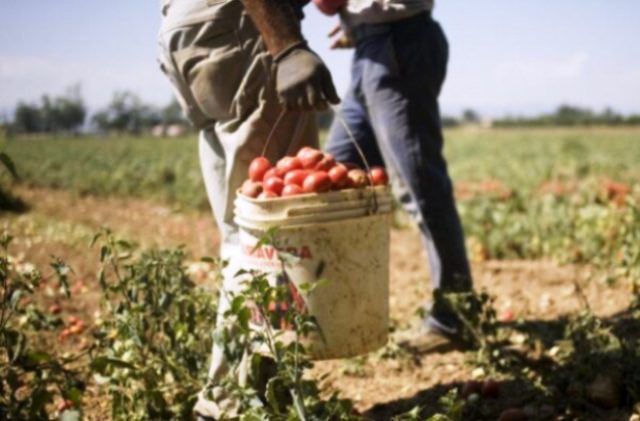 Carabinieri di Grammichele e del Nucleo Ispettorato del Lavoro controllano azienda