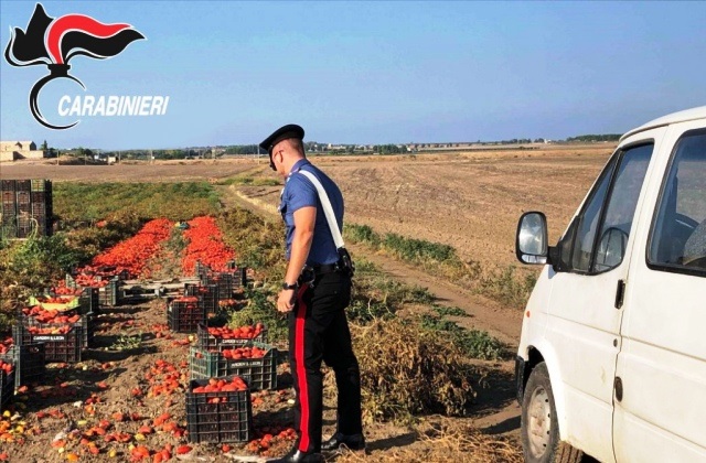 Comune di Pachino: il Viminale finanzia il progetto per la lotta al caporalato