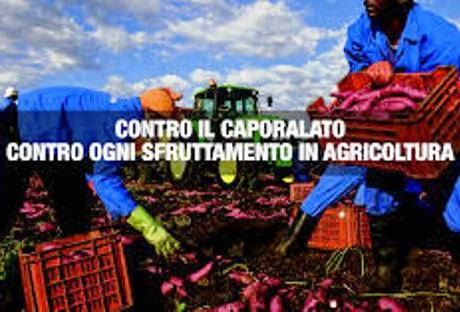 CAPORALATO E SFRUTTAMENTO IN AGRICOLTURA: NOVITA', NORME E APPROFONDIMENTI