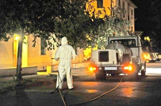 Servizio di disinfestazione: il programma di giugno, nel territorio del Comune di Caltagirone
