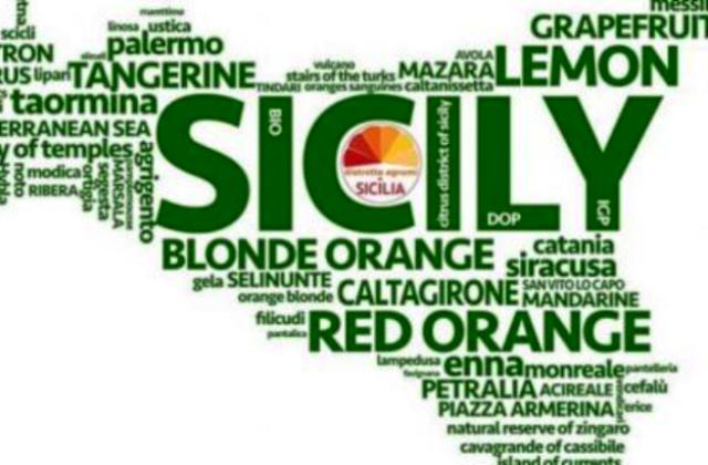 Distretto ‘Ficodindia di Sicilia’ (San Michele di Ganzaria) fra i beneficiari dei 38 milioni ai cluster siciliani. Ass. Attività produttive, Mimmo Turano: «Primi a usare risorse FSC 2021-27»