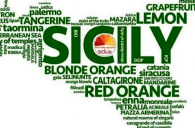  Distretto ‘Ficodindia di Sicilia’ (San Michele di Ganzaria) fra i beneficiari dei 38 milioni ai cluster siciliani. Ass. Attività produttive, Mimmo Turano: «Primi a usare risorse FSC 2021-27»