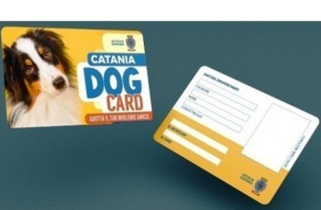 Comune di Catania. Tutela e benessere degli animali, oggi (sabato 26) al Giardino Bellini presentazione progetto "Catania Dog Card"