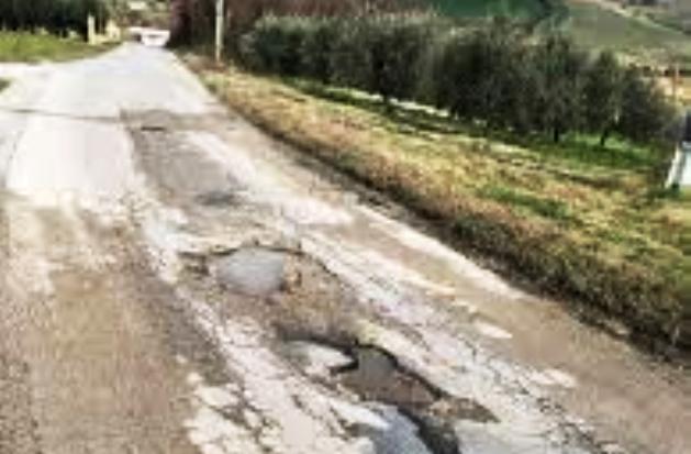 La strada Granieri-Grammichele piena di buche e vegetazione che la rendono pericolosa