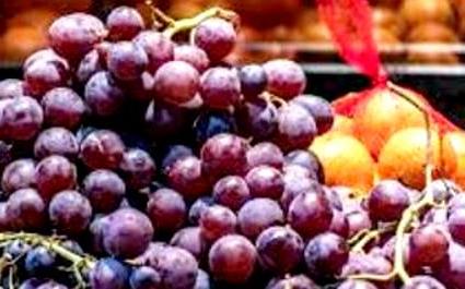 Avvisi dalla Regione Siciliana per l'esportazione all'estero di frutti di agrumi e di uva da tavola