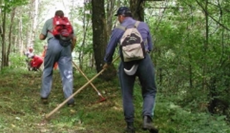 Sicilia, per il mese di maggio forestali impiegati nei parchi archeologici 