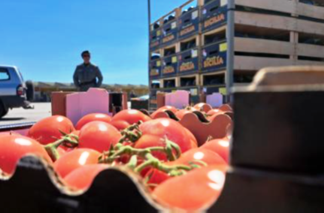 Siracusa, donate al Banco alimentare 16 tonnellate di ortaggi sequestrati dal Noras