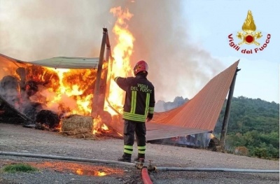 Incendi, governo regionale ha approvato in giunta lo stato di emergenza in Sicilia