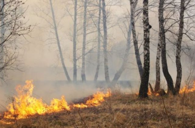 Caltagirone. Ordinanza per prevenire gli incendi: pulizia dei terreni entro lunedì 7 giugno