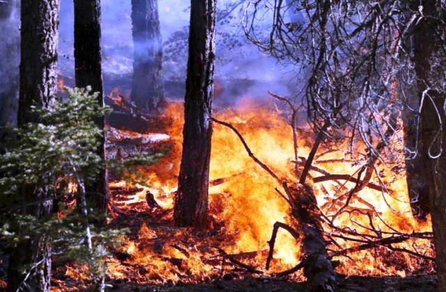 Caltagirone. Ordinanza per prevenire gli incendi: pulizia dei terreni entro lunedì 5 giugno
