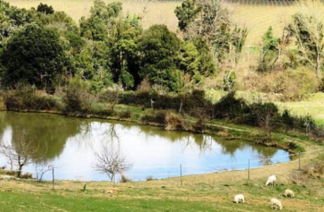 Agricoltura, contributi fino al 70% per realizzare laghetti aziendali nelle campagne siciliane