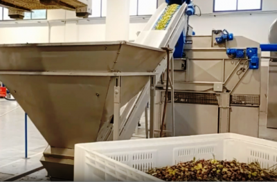 Agricoltura, prorogata scadenza per saldo bandi Pnrr meccanizzazione e frantoi