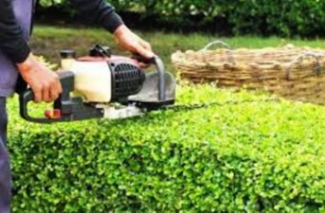 Ordinanza a Caltagirone per corretta manutenzione di vegetazione lungo strade, ferrovie e percorsi pedonali pubblici