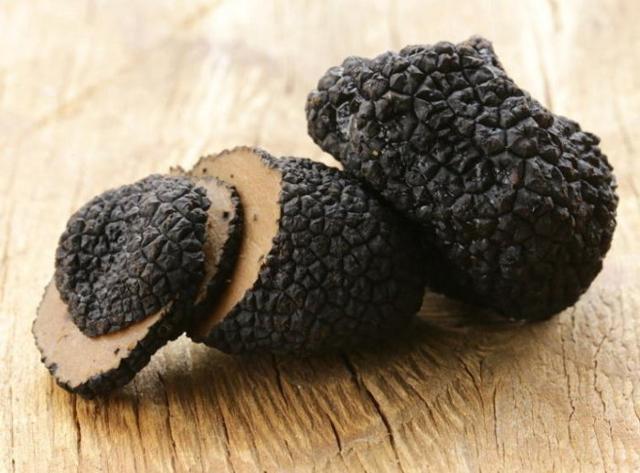 Tartufo siciliano, presentato un disegno di legge all’Ars per la tutela e valorizzazione