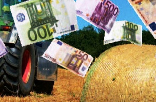 Regione Siciliana. Bando PSR Sicilia 2014-2020 (misura 4.1): macchine, attrezzi agricoli, stalle, recinzioni e serre