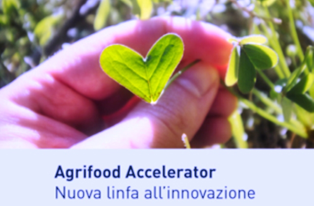 Call Agrifood, porte aperte al Bravo Innovation Hub per incontrare “virtualmente” le startup interessate partecipare percorso accelerazione