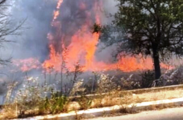 Incendi. Eroico gesto di due uomini in divisa: giovedì 5 agosto, attestati di benemerenza